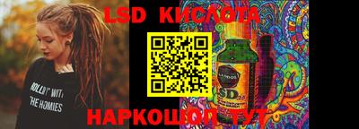 шишки Сланцы