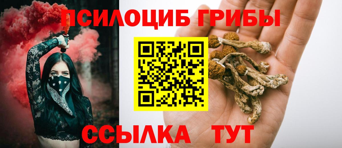 Псилоцибиновые грибы Psilocybine cubensis  Вход с VPN  Галлюциногенные грибы прущие грибы  Саров 